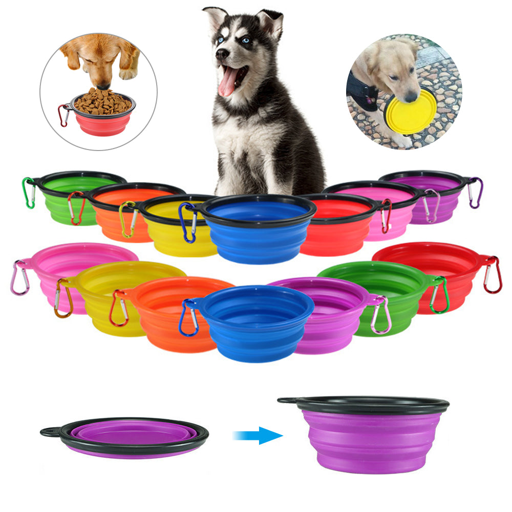 Colorful Pet Bowls