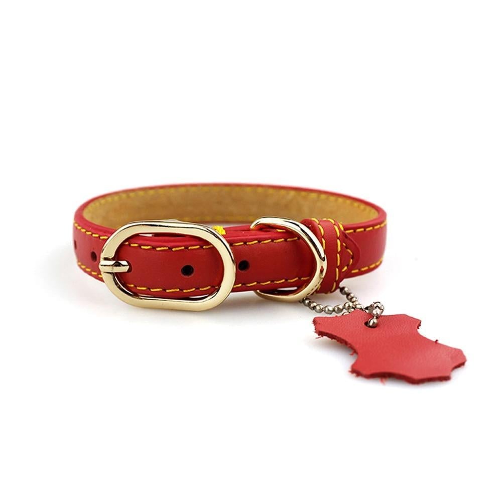 PU Leather Dog Neck Collar with Hangtag