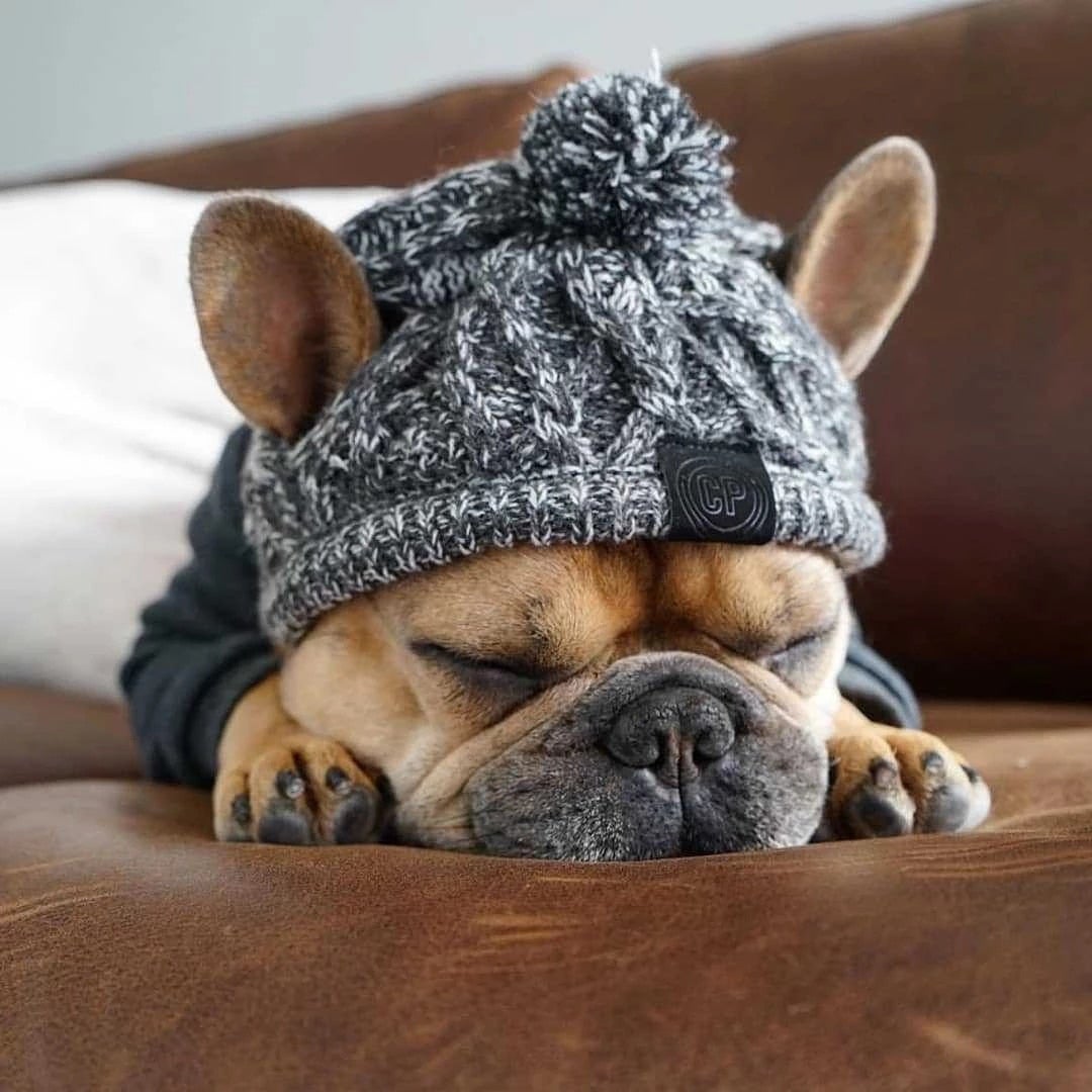 Windproof Woolen Fur Ball Warm Pet Hat