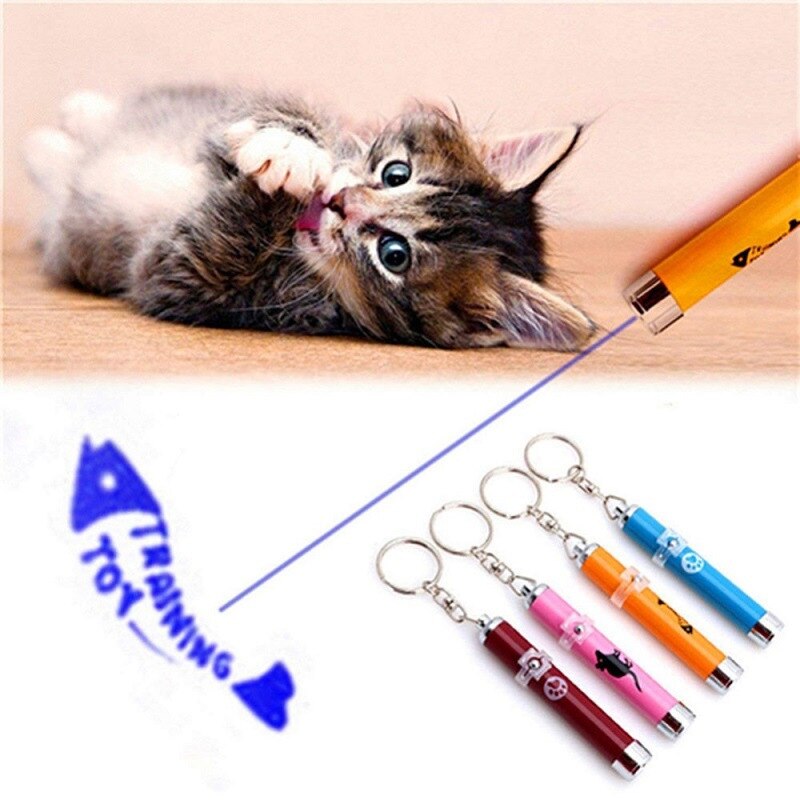 Keychain Multi Pattern LED Laser Pointer